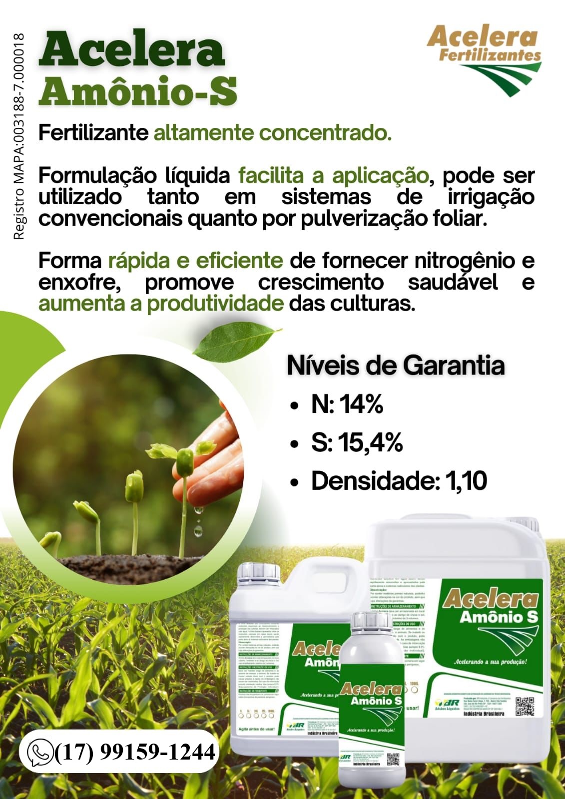 Acelera Amônio-S - Imagem 2