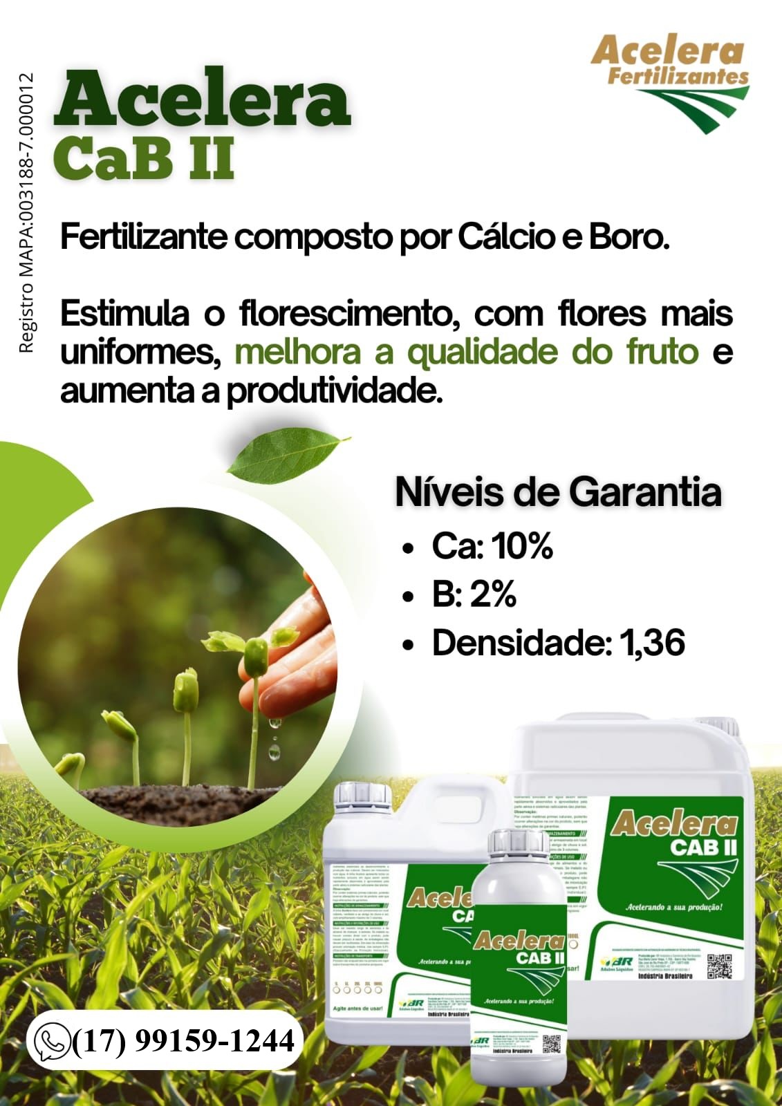 Acelera Cab II - Imagem 2