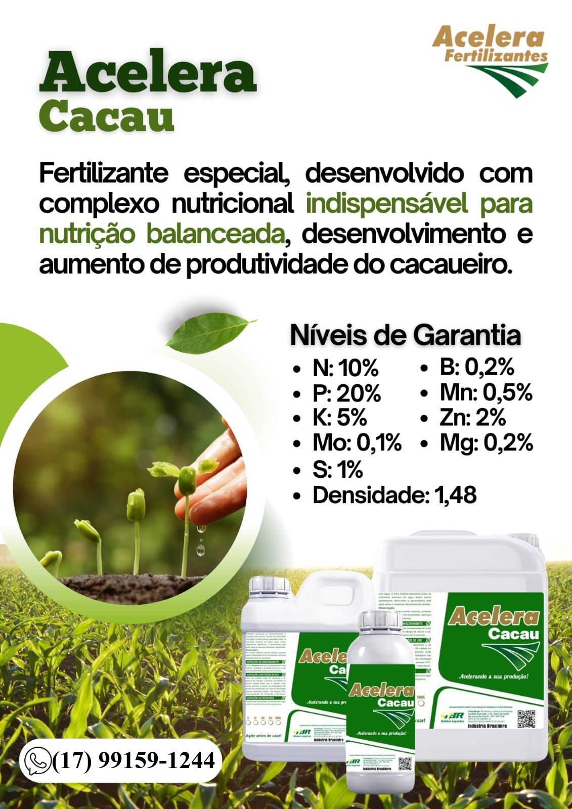 Acelera Cacau - Imagem 2