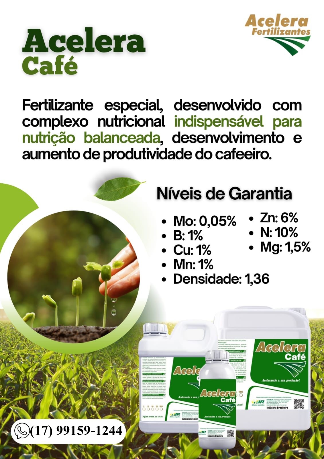 Acelera Café - Imagem 2