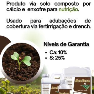Acelera G (Gesso Liquido)