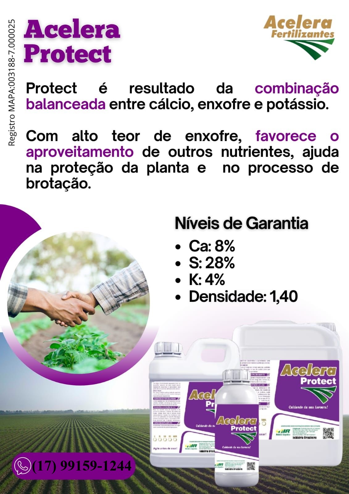 Acelera Protect - Imagem 2
