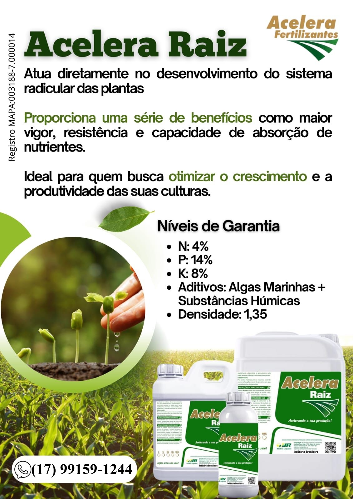 Acelera Raiz - Imagem 2