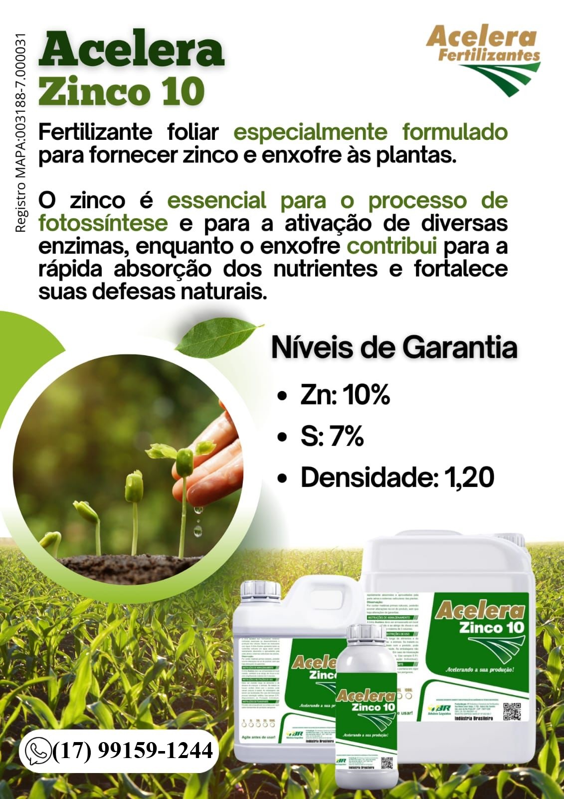 Acelera Zinco - Imagem 2