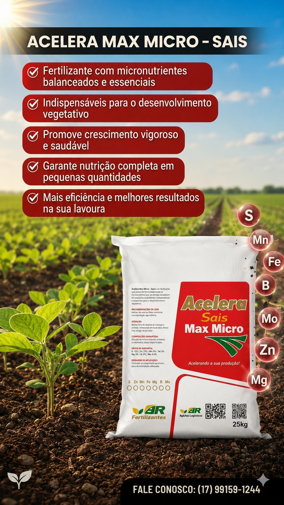 Acelera Max Micro Sais
