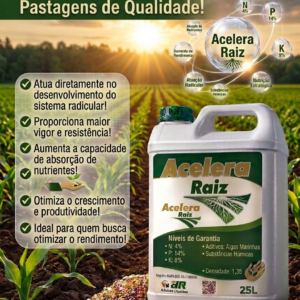 Acelera Raiz