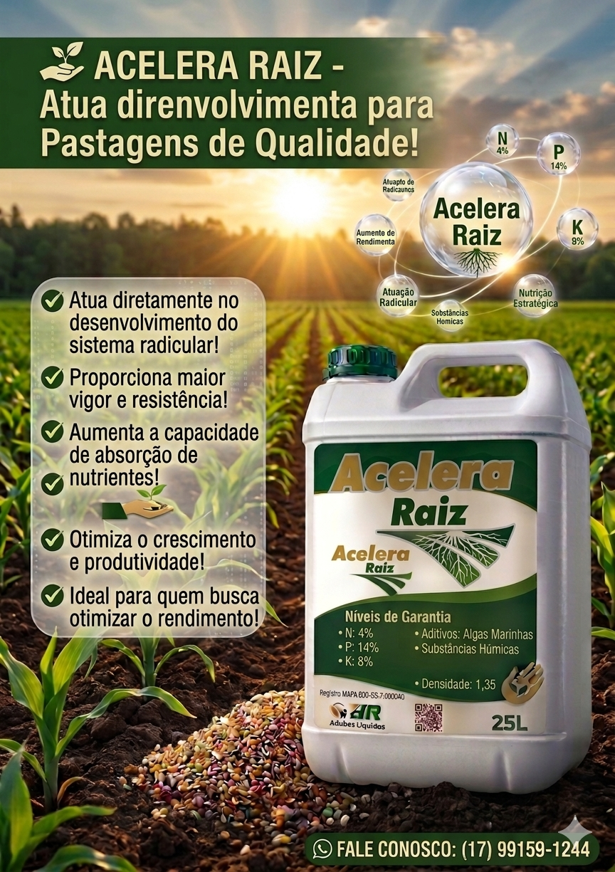 Acelera Raiz