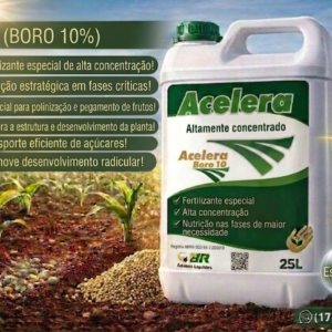 Acelera Boro 10