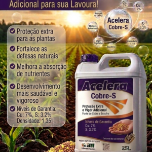 Acelera Cobre-S