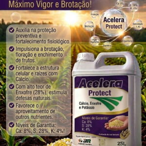Acelera Protect