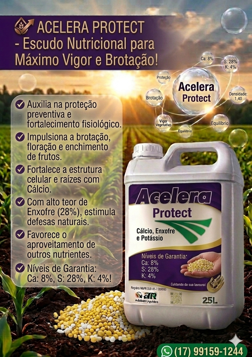 Acelera Protect