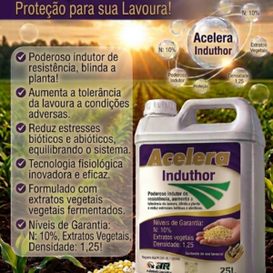Acelera Induthor