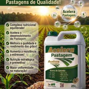Acelera Pastagem