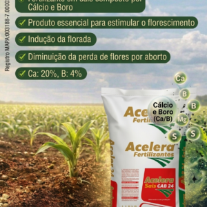 Acelera CAB 24 Calcio e Boro