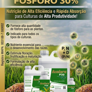 Fósforo Acelera P30
