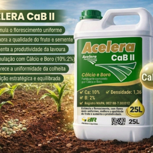 Acelera Cab II