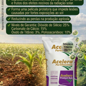 Acelera Protetor Solar
