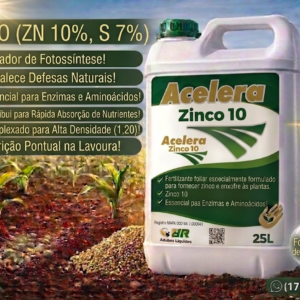 Acelera Zinco