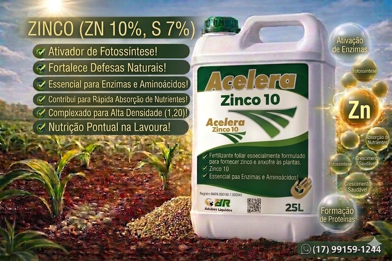 Acelera Zinco